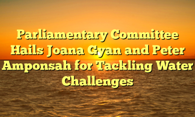 Parliamentary Committee Hails Joana Gyan and Peter Amponsah for Tackling Water Challenges
