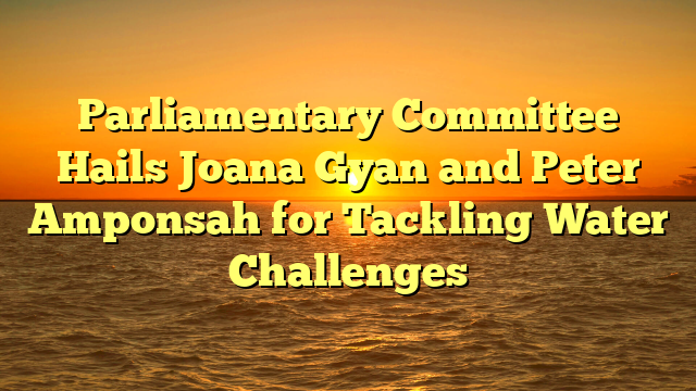 Parliamentary Committee Hails Joana Gyan and Peter Amponsah for Tackling Water Challenges